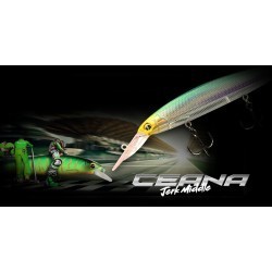 VOBLER MAJOR CRAFT CEANA JERKBAIT 110SPM MIDDLE 11cm 17gr #014 Holo Tennessee
