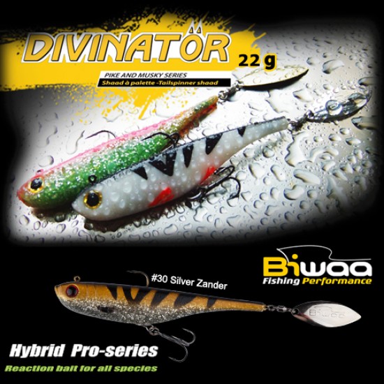 SHAD DIVINATOR JUNIOR 14cm 22gr 30 Silver Zander