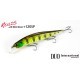 Vobler DUO Realis Jerkbait 120SP, ACC3338 Dragon Fruit Tiger, 12cm/17.7g