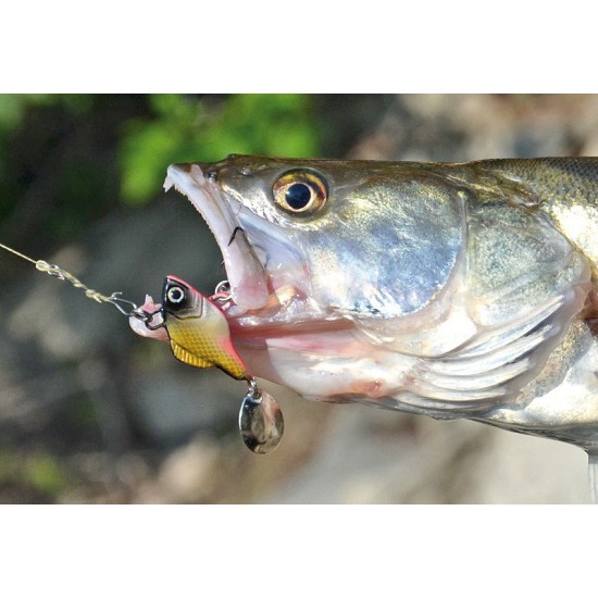Spinnertail Carp Zoom Predator-Z, A03, 14g Spinnertail Carp Zoom Predator-Z, A03, 14g