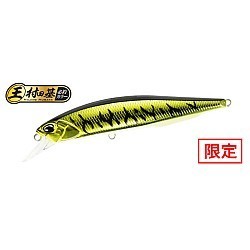 Vobler DUO Realis Jerkbait 100F, ASAZ399 Gunmetal M Gold Tiger, 10cm/13.7g