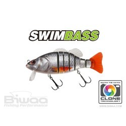 SWIMBASS 6" SLOW SINK 15cm 65gr 38 Roach