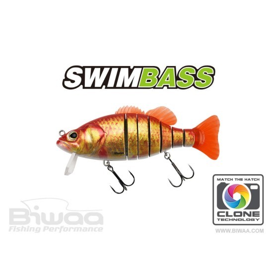 SWIMBASS 6