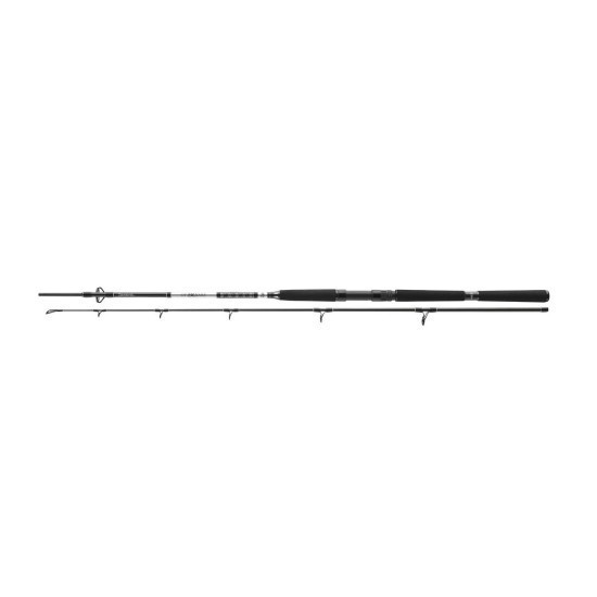 Lansetă Daiwa BG Offshore Pilk, 2.40m/40-125g, 2buc