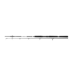 Lansetă Daiwa BG Offshore Pilk, 2.70m/40-125g, 2buc