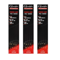 Cârlige legate Gamakatsu Pro-C Power Carp Banded Ready Rigs Nr.10 | 0.17mm, 8buc/plic