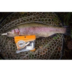 Larve FishUp Trout Series Pupa Cheese, Culoare 112 Hot Pink, 2.2cm, 12buc/plic