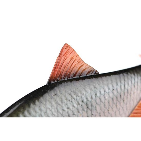 Swimbait Fox Rage Ultra Realistic Replicant, Roach, 14cm/45g