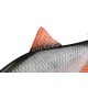 Swimbait Fox Rage Ultra Realistic Replicant, Roach, 14cm/45g
