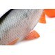 Swimbait Fox Rage Ultra Realistic Replicant, Roach, 14cm/45g