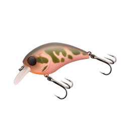 Vobler Jackall Mushbob 50SR, Kawashima Bocho Killer, 5cm/9g