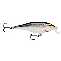 SHALLOW SHAD RAP