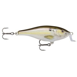 SHALLOW SHAD RAP SSR07  RSL