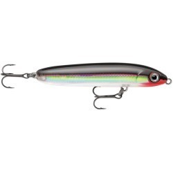 SKITTER V 10 S