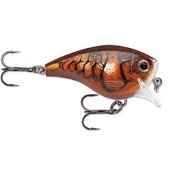 BX BRAT BIG BXBB06 BLZ