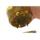 Cutie pentru dipuit boilies Korda Infuza, Small Cutie pentru dipuit boilies Korda Infuza, Small