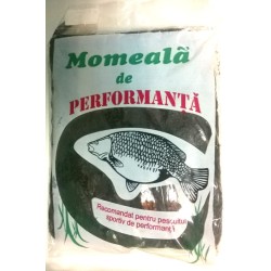 Nadă umedă Arrow, Usturoi, 500g