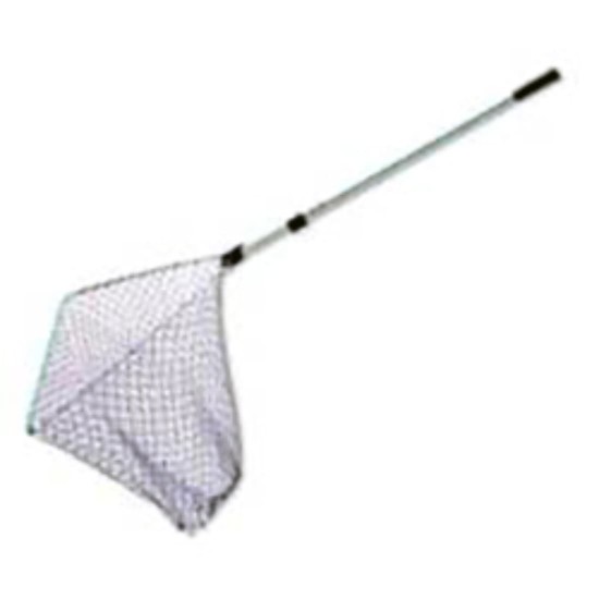 Minciog Lineaeffe, 2m