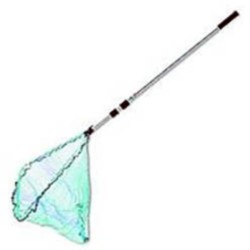 Minciog Lineaeffe, 1.6m