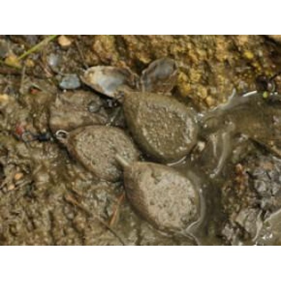 Plumb texturat cu vârtej Korda, 84g Plumb texturat cu vârtej Korda, 84g