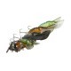 Vobler Savage Gear Cicada 3D, Brown, 3.3cm/3.5g Vobler Savage Gear Cicada 3D, Brown, 3.3cm/3.5g