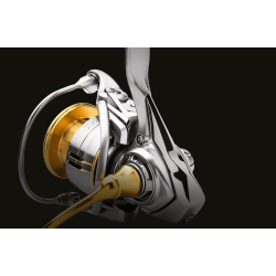 Mulinetă Daiwa Freams LT 2500D