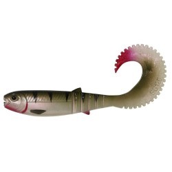 Shad Savage Gear Cannibal Curltail, Perch, 12.5cm, 10g, 3buc/plic