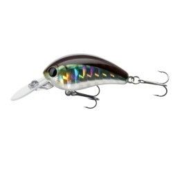 Vobler Daiwa Tournament Baby Crank 35F, Kibinago, 3.5cm/3.5g