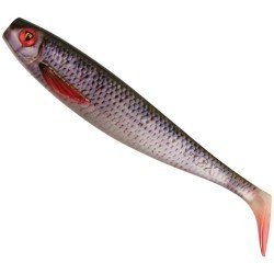 SHAD FOX RAGE PRO SHAD NATURAL CLASSICS 2  SUPER NATURAL ROACH 10CM  