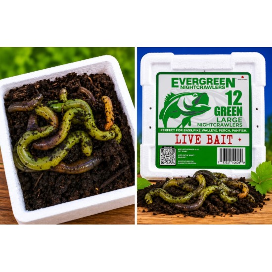 Râme canadiene Evergreen Nightcrawlers Fluo Green, Large, 12buc/cutie