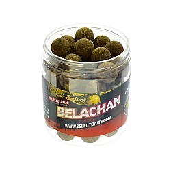 Boilies critic echilibrat Select Baits, Belachan&Mussel, 16mm