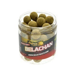 Boilies de cârlig special întărit Select Baits, Belachan&Mussel, 20mm