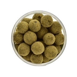 Boilies de cârlig special întărit Select Baits, Belachan&Mussel, 20mm