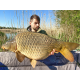 Pastă de boilies Select Baits Lead&Hookbait Wrap, Hot Fish, 400g Pastă de boilies Select Baits Lead&Hookbait Wrap, Hot Fish, 400g