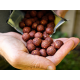 Boilies solubil Select Baits, Crab&Krill, 20mm/1kg