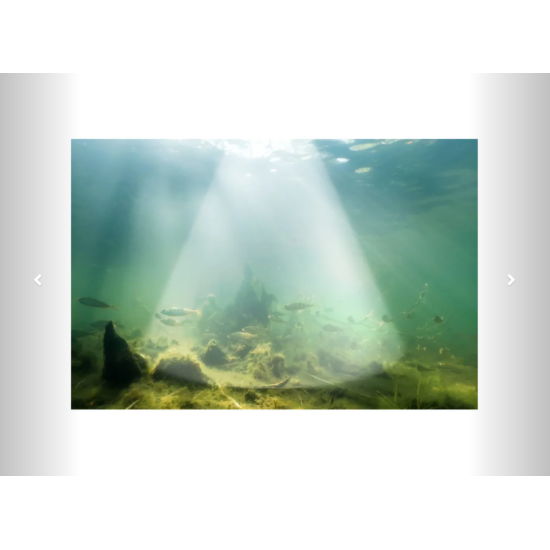 Sonar pescuit Deeper Smart Sonar CHIRP+ 4 cu AI, GPS și cartografiere 2D/3D