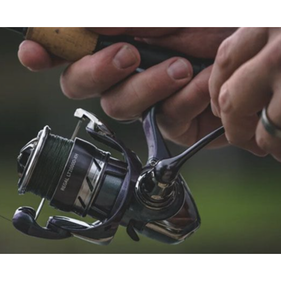 Mulinetă Daiwa 24 Regal LT 1000D-XH | Raport 6.2:1 | 6 rulmenți