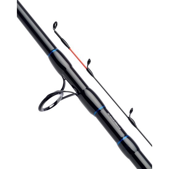 Lansetă Daiwa N‘Zon Extension Feeder, 3.65m/80g, 2+2buc Lansetă Daiwa N‘Zon Extension Feeder, 3.65m/80g, 2+2buc