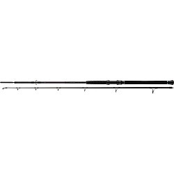 Lansetă Daiwa Powermesh Catfish Boat, 2.55m/100-400g, 2buc