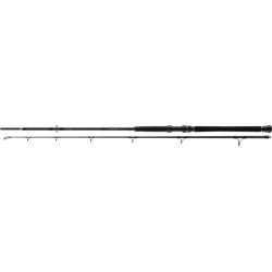 Lansetă Daiwa Powermesh Catfish Boat, 2.75m/100-400g, 2buc