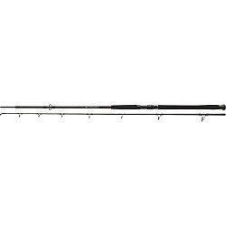 Lansetă Daiwa Exceler Catfish Boje, 2.70m/200-600g, 2buc