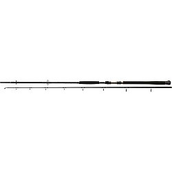 Lansetă Daiwa Exceler Catfish Spin, 2.40m/185g, 2buc