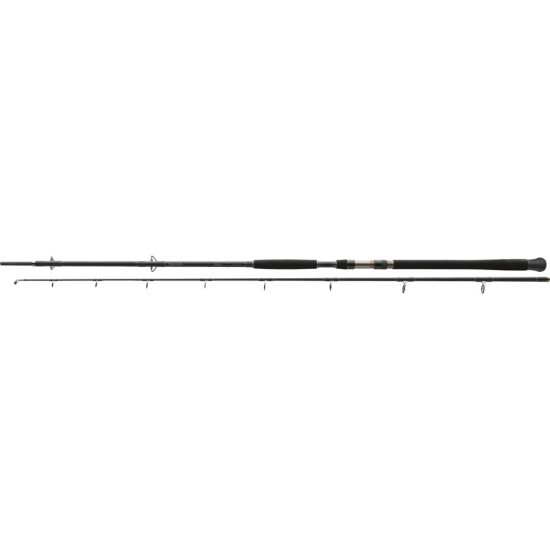 Lansetă Daiwa Exceler Catfish Spin, 2.70m/185g, 2buc