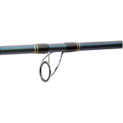 Lansetă Daiwa Saltist Boat, 2.35m/50-350g, 2buc