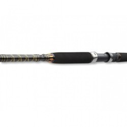 Lansetă Daiwa BG Deep Sea, 2.10m/150-400g, 2buc