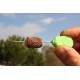 Kit plasă solubilă + tijă compresie Korda Boilie Funnel Web Pva System, 7m Kit plasă solubilă + tijă compresie Korda Boilie Funnel Web Pva System, 7m