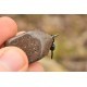 Plumb cubic cu vârtej Korda Square Pear Swivel 99g Plumb cubic cu vârtej Korda Square Pear Swivel 99g
