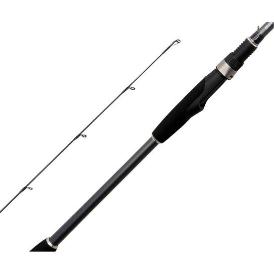 Lansetă Savage Gear Finezze Softlure, 2.50m/5-21g, 2buc