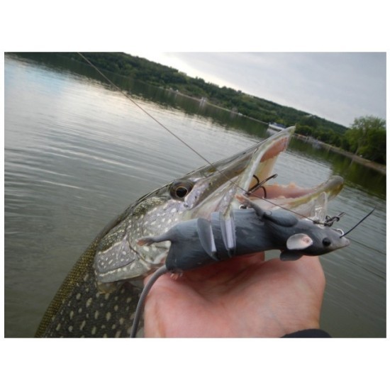 Nălucă Savage Gear 3D Rad, Bloody Red Belly, 20cm/32g Nălucă Savage Gear 3D Rad, Bloody Red Belly, 20cm/32g