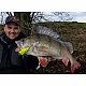 Vobler Savage Gear Fat Vibes, Perch, 5.1cm/11g